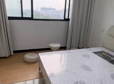 三角村公寓 2室1厅1卫