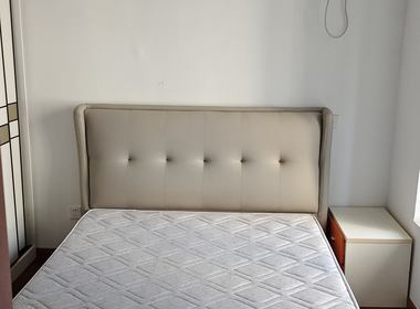 青浦绿地中心柏源晶舍 