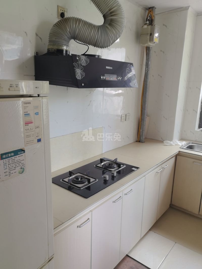 青浦绿地中心柏源晶舍16873599厨房图6