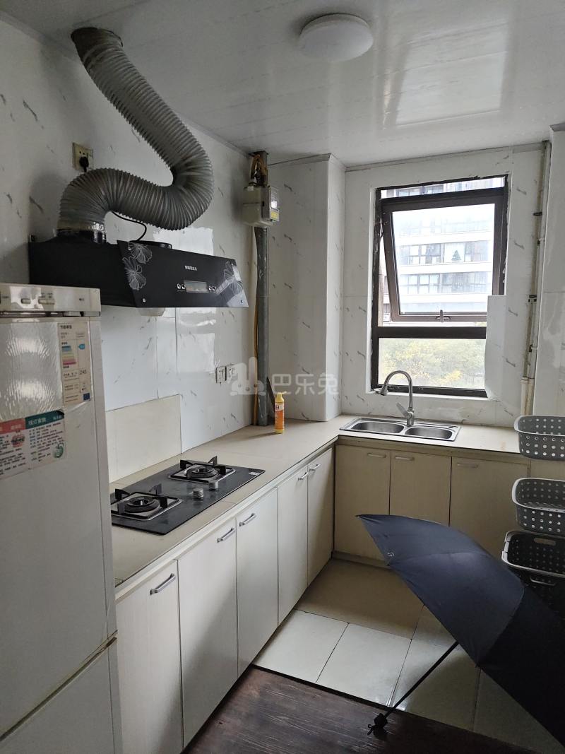 青浦绿地中心柏源晶舍16873599厨房图5