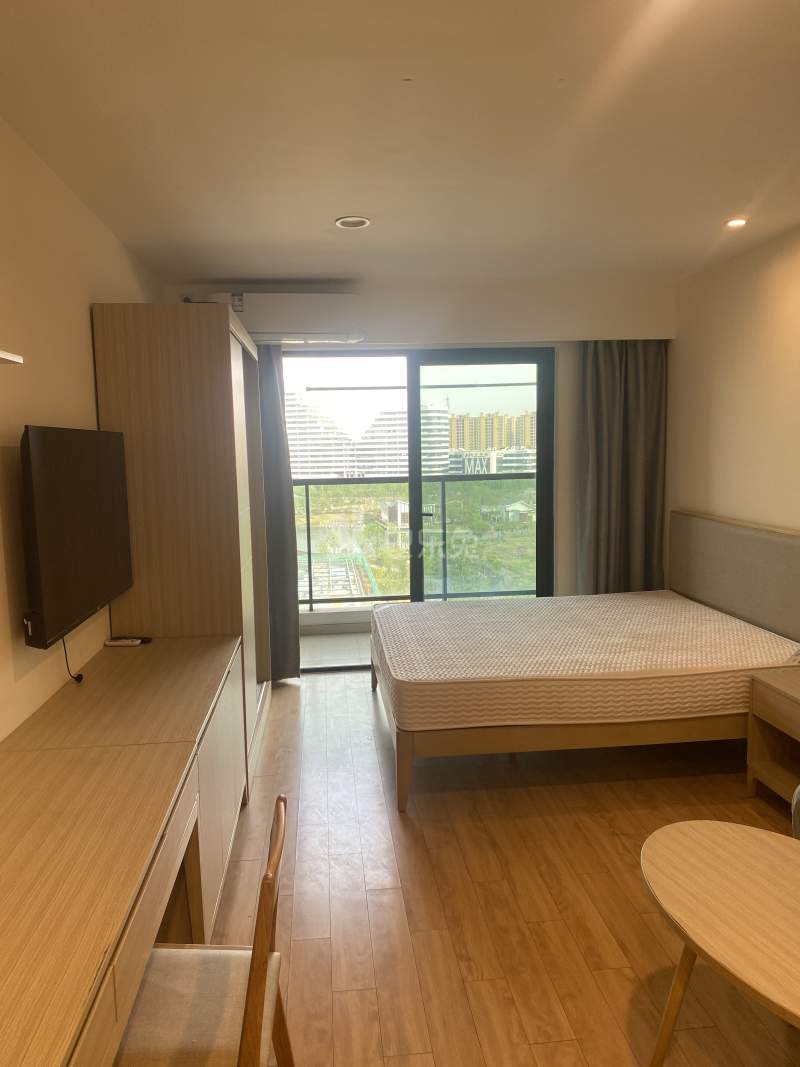 中集中央公园（公寓）16882890周边环境图2