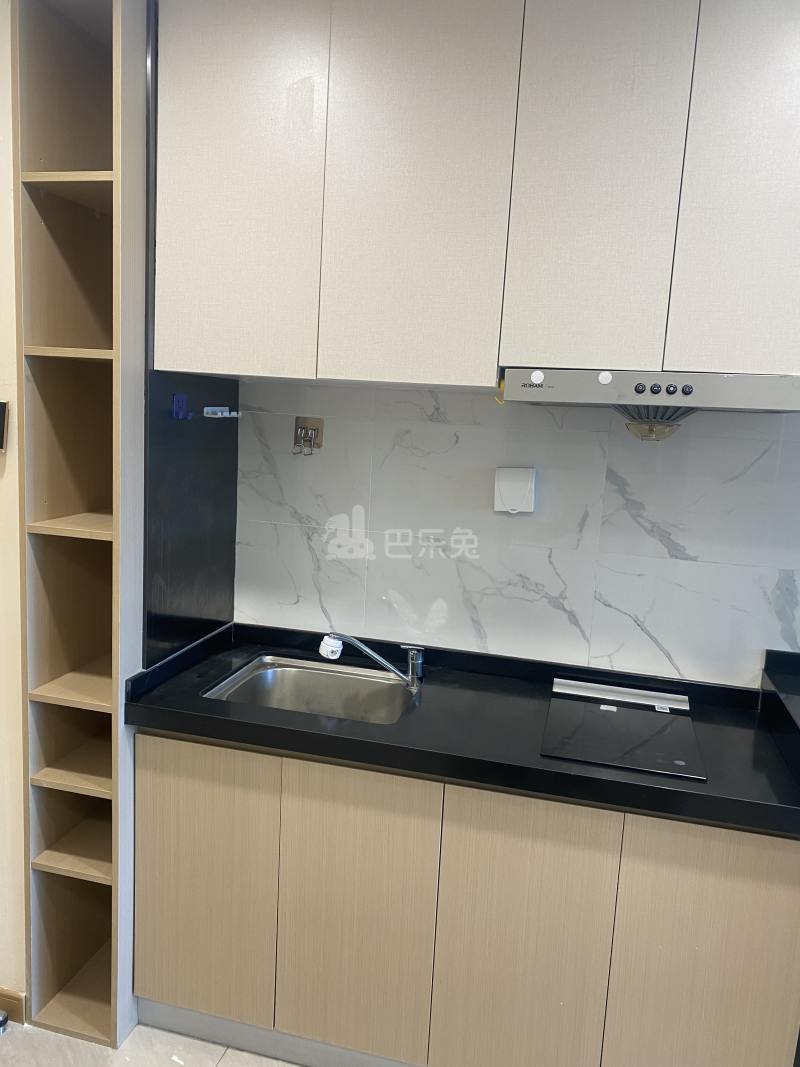 中集中央公园（公寓）16882890周边环境图5