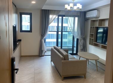 中集中央公园（公寓） 1室1厅1卫