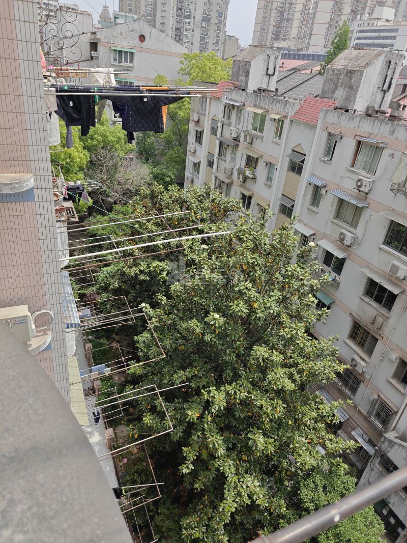 虹口花苑（天通庵路666弄）16944577周边环境图15