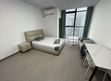 越洋国际 1室1厅1卫