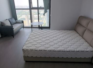 越洋国际 1室1厅1卫