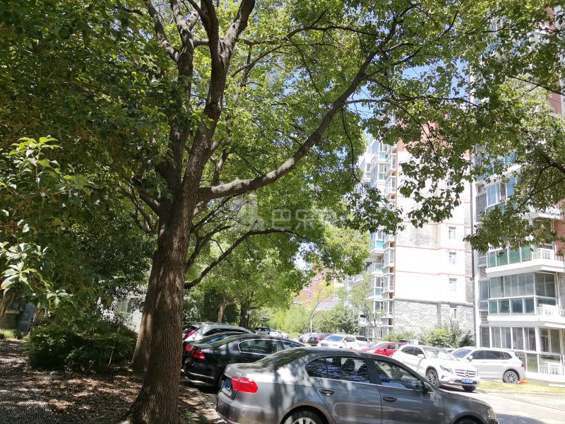 博捷名苑17097045周边环境图7