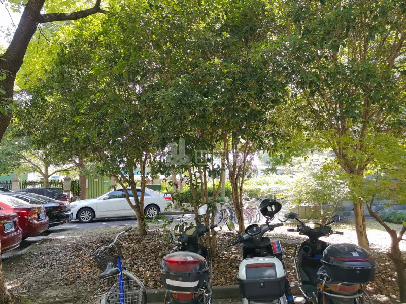 博捷名苑17097045周边环境图8