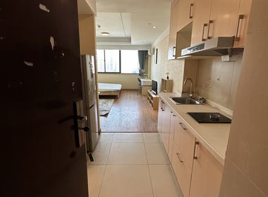 朝阳银座 1室1厅1卫