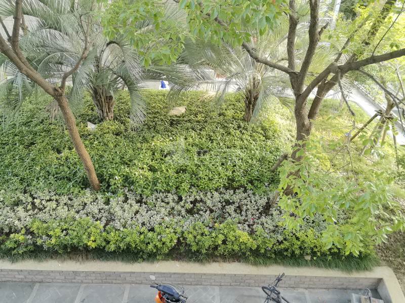 繁锦路920弄10号17127680周边环境图12