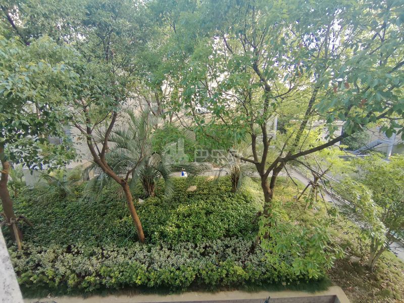 繁锦路920弄10号17127680周边环境图10