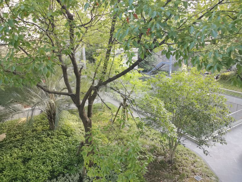 繁锦路920弄10号17127680周边环境图11