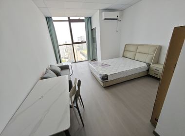 越洋国际 1室1厅1卫