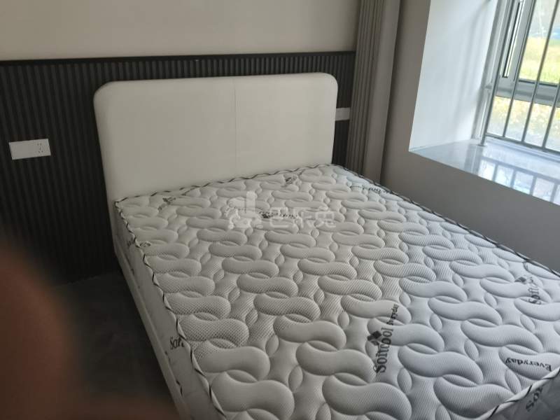 九亭家园文亭苑17303048卧室图2