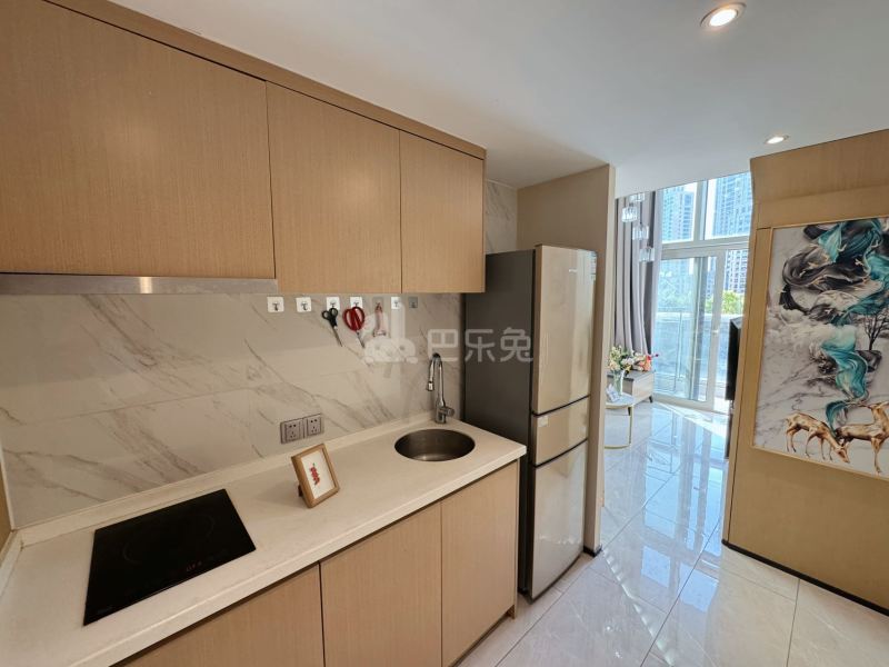 滨澜公寓(滨江星澜里店)17327572厨房图5