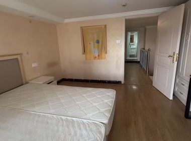 百富联合国际奥体之星 