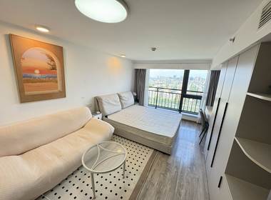 德信市心府（雅颂市心府） 1室1厅1卫