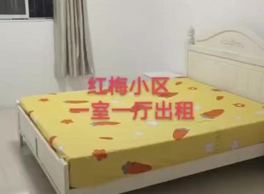 红梅小区 1室1厅1卫