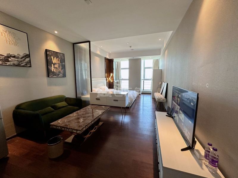 金铂湾公寓17652541客厅图4