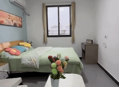 双锋公寓 1室1厅1卫