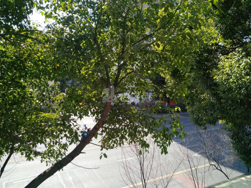 金都新城1776027周边环境图18