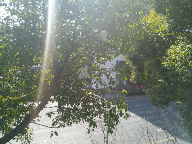 金都新城1776027周边环境图19