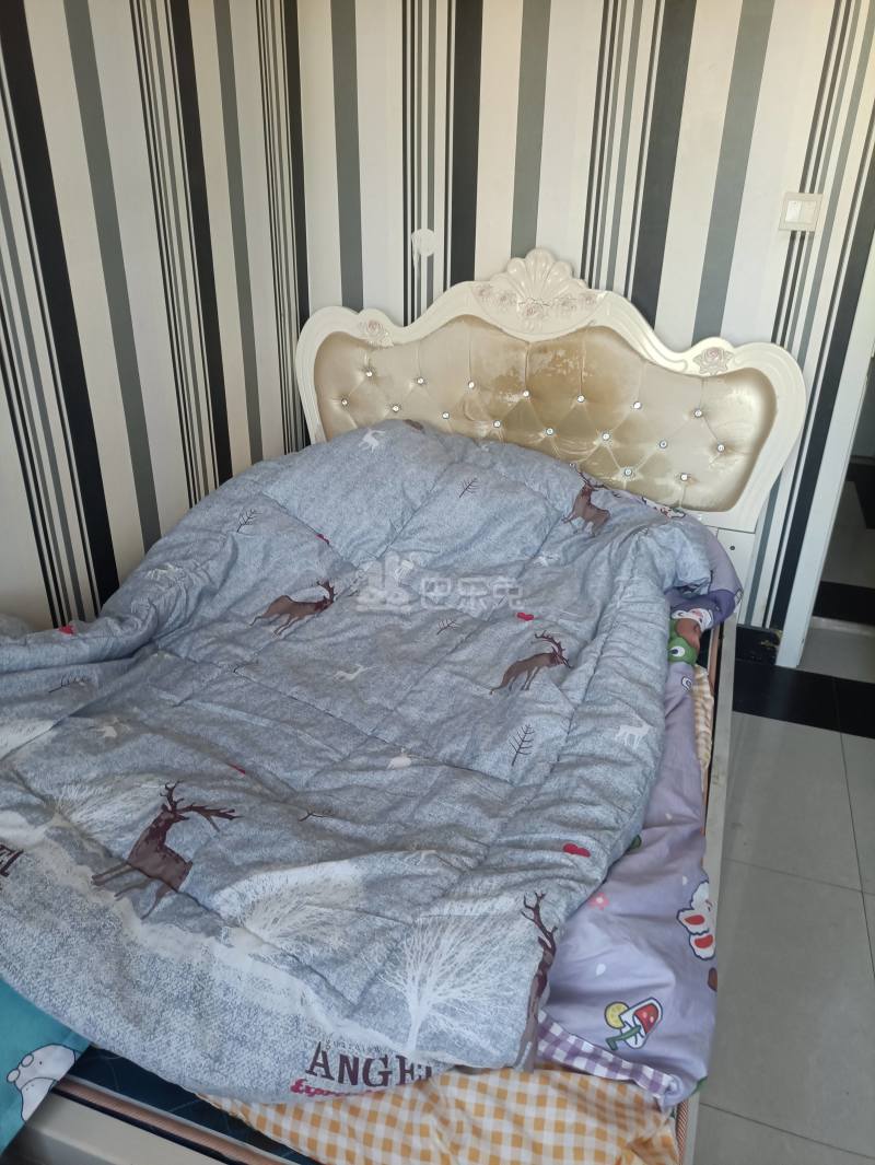 博学家园1787221卧室图2