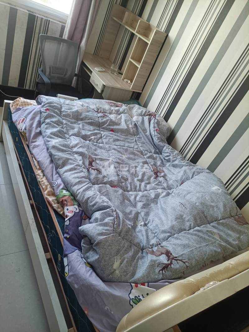 博学家园1787221卧室图0