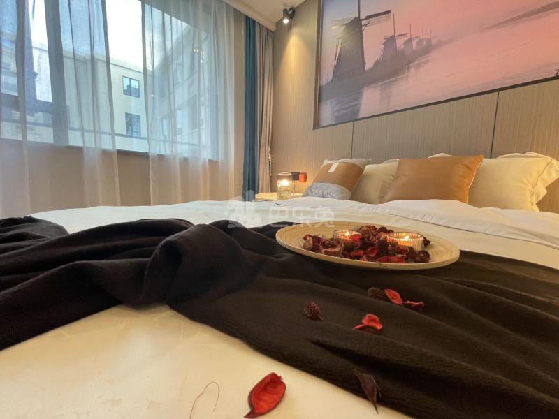 宝山丽舍公寓17925241周边环境图7