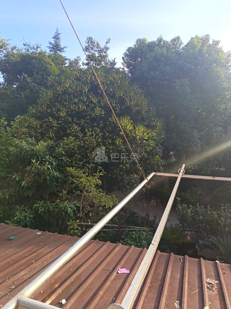 虹康花苑三期（虹康三期）17932691周边环境图12