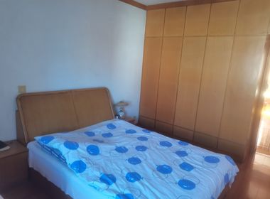 醉白苑 2室2厅2卫