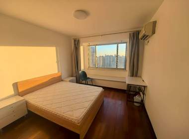 明日星城1期（河南南路1001弄） 