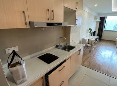 朝阳银座 1室1厅1卫