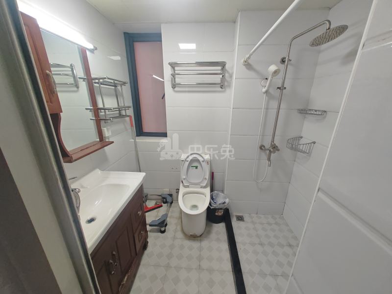 滨江小区（天钥桥南路1199弄）18125534卫生间图9