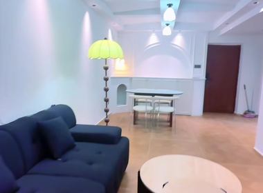 白马湖小区凤凰苑 1室1厅1卫