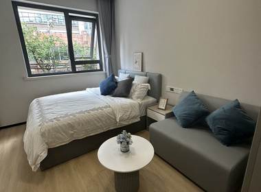 中宏公寓 1室0厅1卫