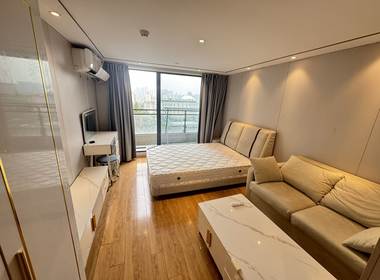 龙湖紫金上城 1室0厅1卫