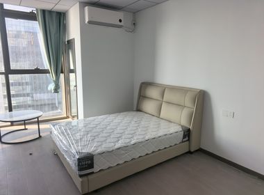 越洋国际 1室0厅1卫