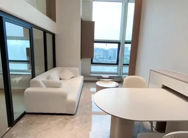 绿地商业中心 2室2厅0卫