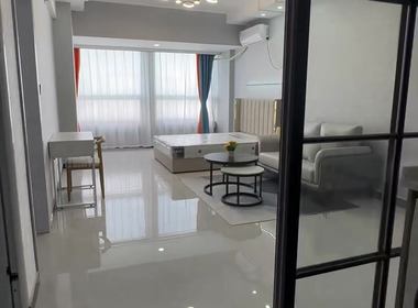 龙禧国际名宅 1室1厅1卫