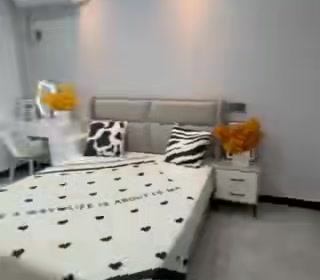 新中宇维萨（维萨新筑） 