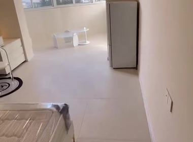 华苑大厦 1室1厅0卫