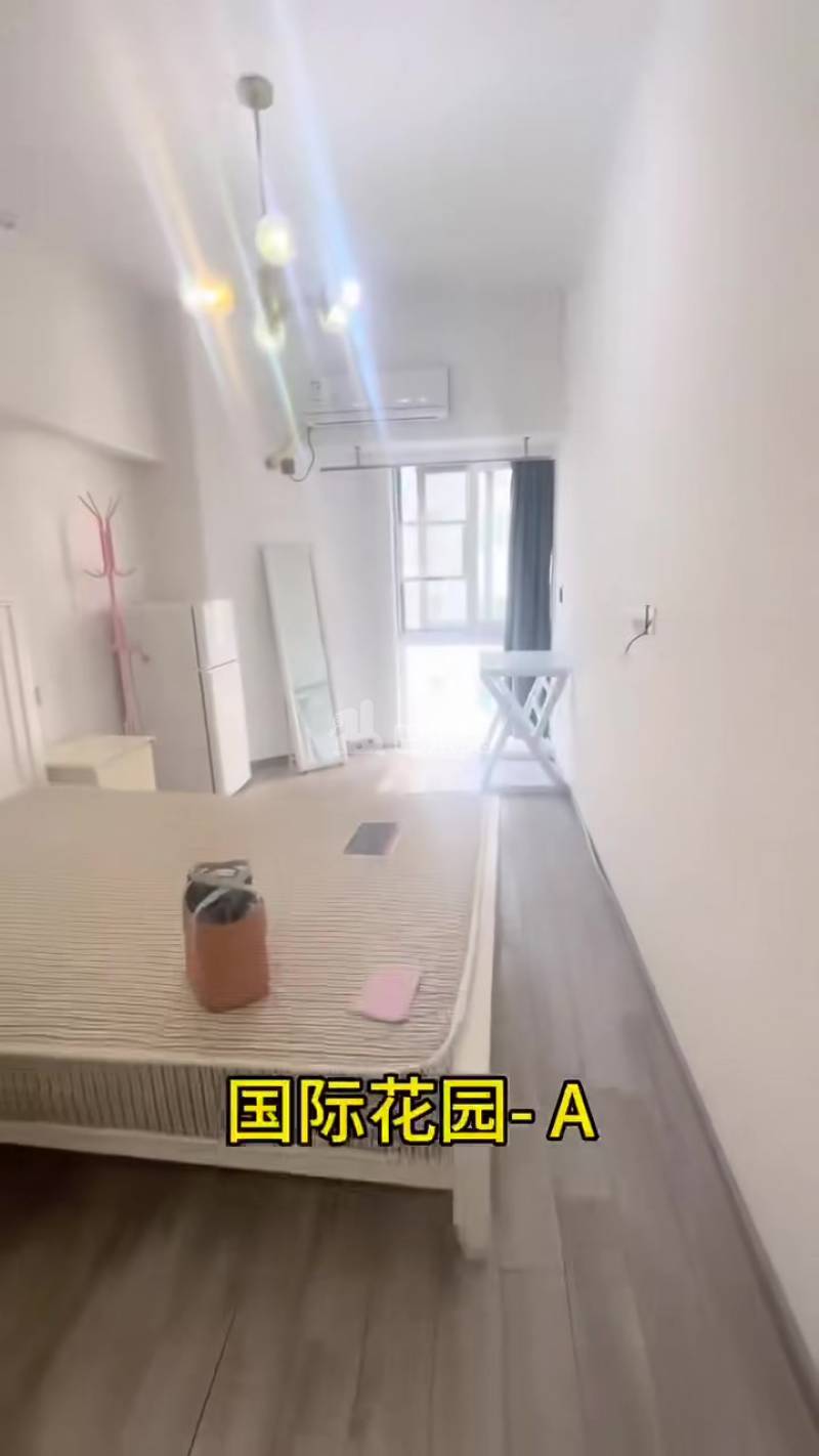 国际花园18339662周边环境图0