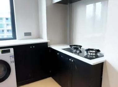 枫吟丽都 1室1厅0卫