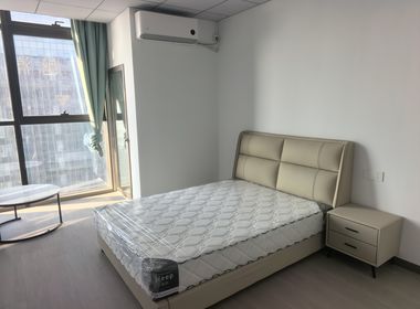 越洋国际 1室1厅1卫