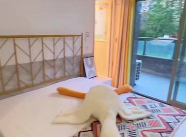 红街公寓（小区） 