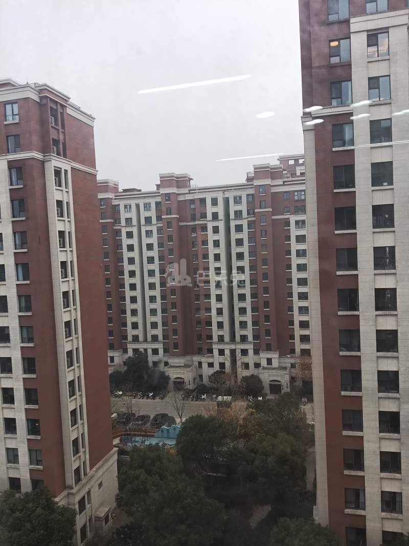 泗泾新苑西区18353117周边环境图7