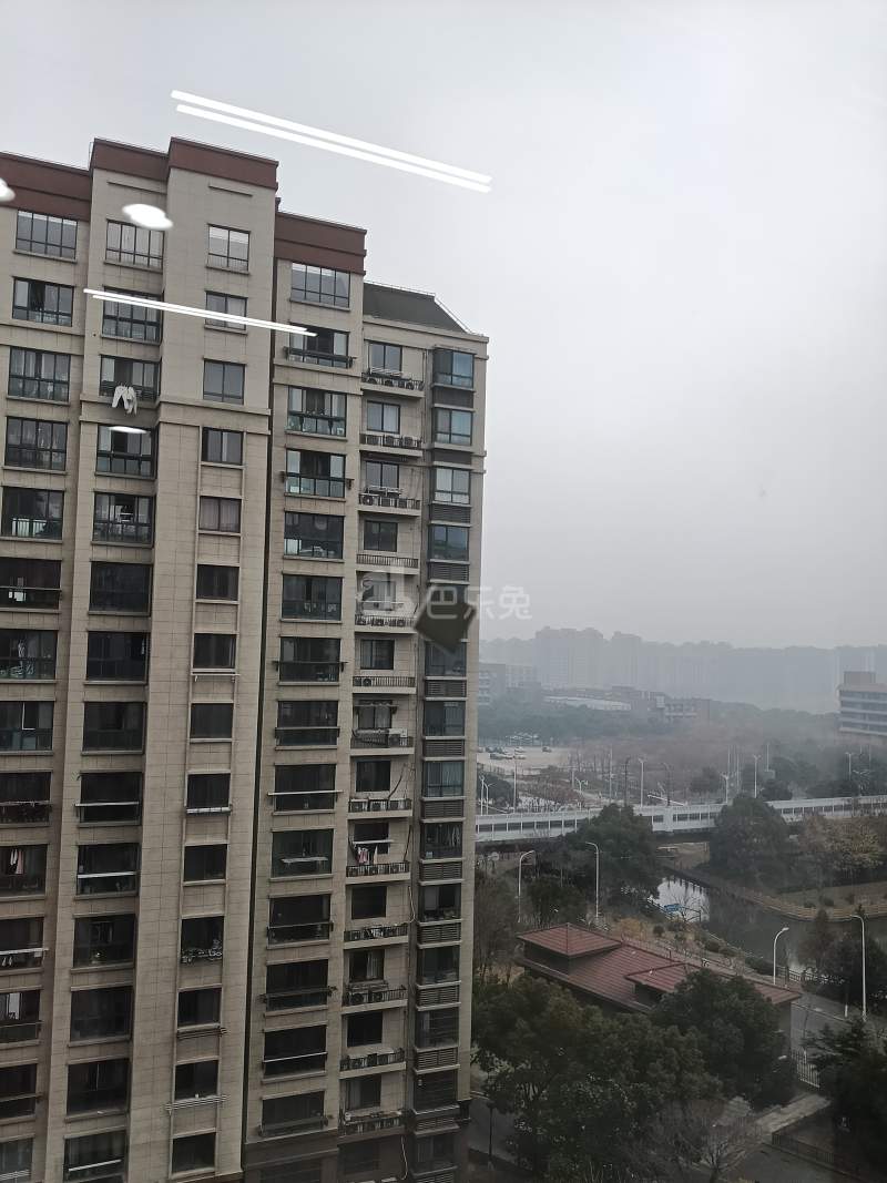 泗泾新苑西区18353119周边环境图6