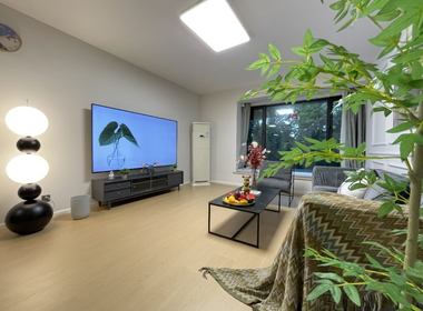 上海绿城 1室0厅2卫