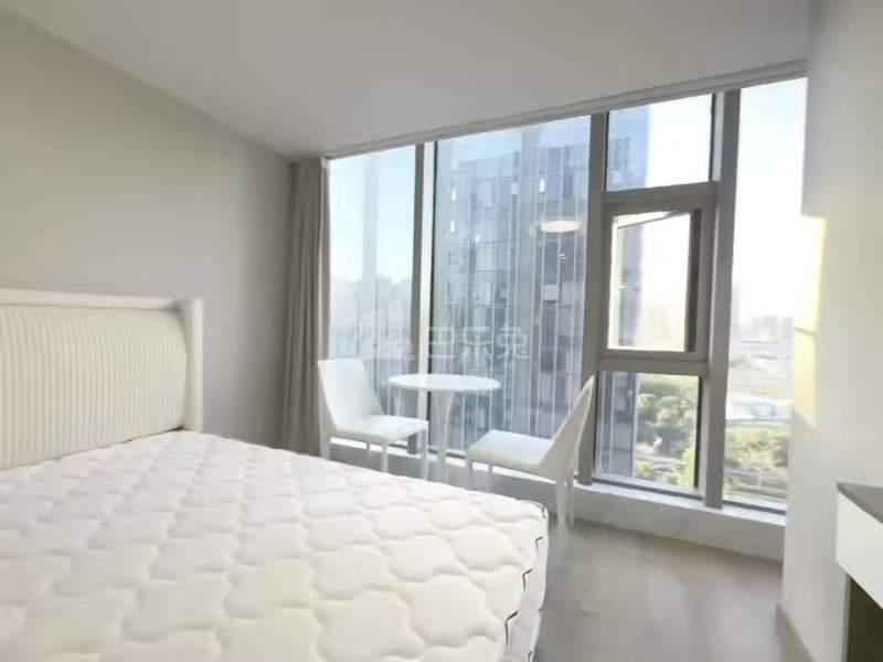 申花印月18359663周边环境图0